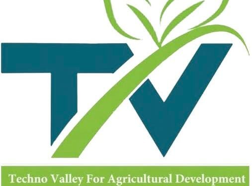 تكنو فالي» تعزز حضورها الإقليمي: خطة لاقتحام 7 أسواق دولية في 2026.