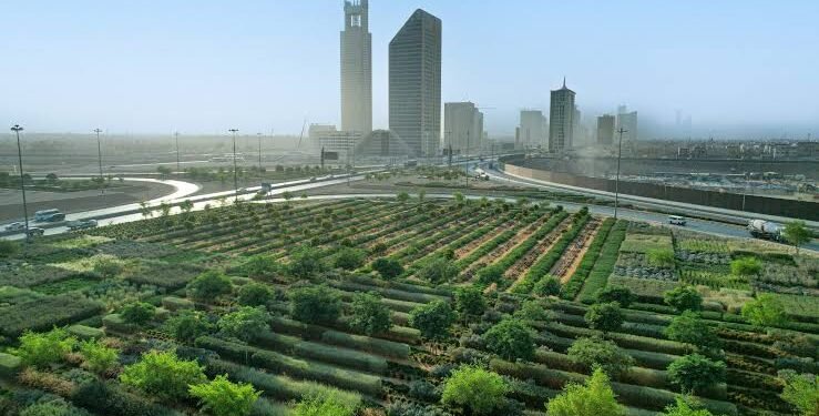 الرياض الخضراء… مشروع وطني يعيد تشكيل البيئة الحضرية ويعزز جودة الحياة.