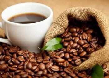 اقتصاديات البن في الخليج والسعودية: نمو متسارع وآفاق واعدة