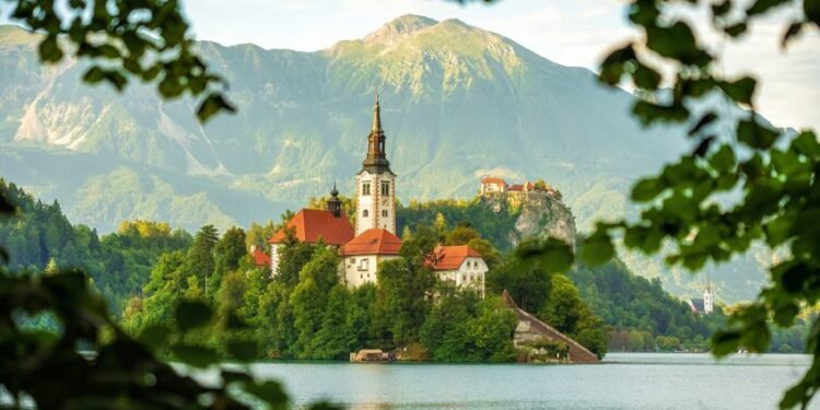 الإعلان عن الفائزين بالجوائز الوطنية والإقليميةلجائزة سوني العالمية للتصوير الفوتوغرافي