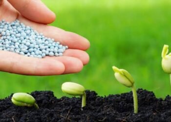 سباق عالمي على الأسمدة تحت لهيب الحرب.. هل تبدأ أزمة غذاء عالمية قريباً؟