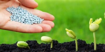 سباق عالمي على الأسمدة تحت لهيب الحرب.. هل تبدأ أزمة غذاء عالمية قريباً؟