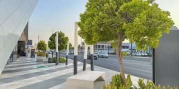 رقمنة الأشجار تعزز الفرص الاستثمارية وتدعم تحول المدن الذكية