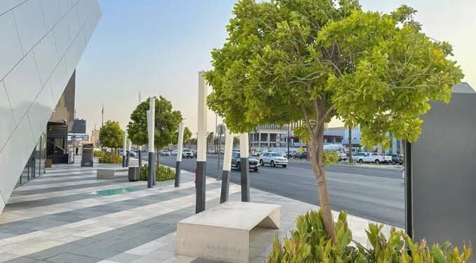 رقمنة الأشجار تعزز الفرص الاستثمارية وتدعم تحول المدن الذكية