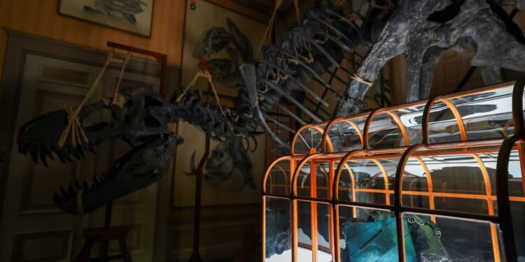 حقيبة من “جلد الديناصورات”.. ابتكار علمي فريد في أمستردام يتحدى المستحيل