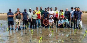 إحياء المانغروف الأحمر: “البحر الأحمر الدولية” تقود أكبر مشروع بيئي في تاريخ المملكة
