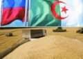 الجزائر تشتري نحو 720 ألف طن من القمح في مناقصة دولية وسط طلب قوي على إمدادات البحر الأسود