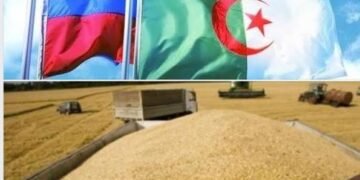 الجزائر تشتري نحو 720 ألف طن من القمح في مناقصة دولية وسط طلب قوي على إمدادات البحر الأسود