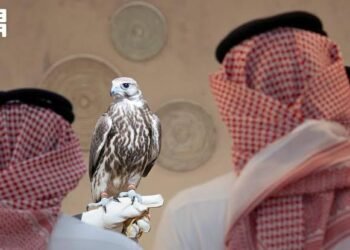 المركز الوطني للصقور يطلق المزاد الدولي 2026 في ملهم بمبيعات قياسية لـ 23 صقرًا