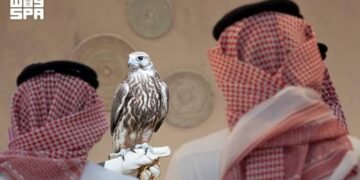 المركز الوطني للصقور يطلق المزاد الدولي 2026 في ملهم بمبيعات قياسية لـ 23 صقرًا